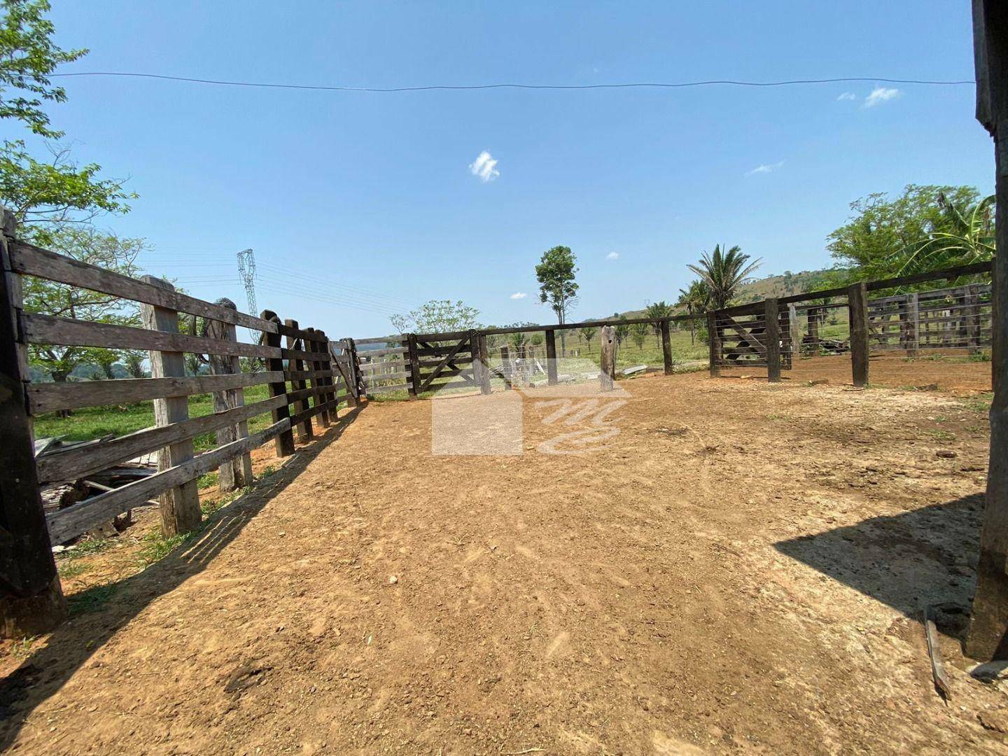 Fazenda à venda com 3 quartos, 2420000M2 - Foto 7