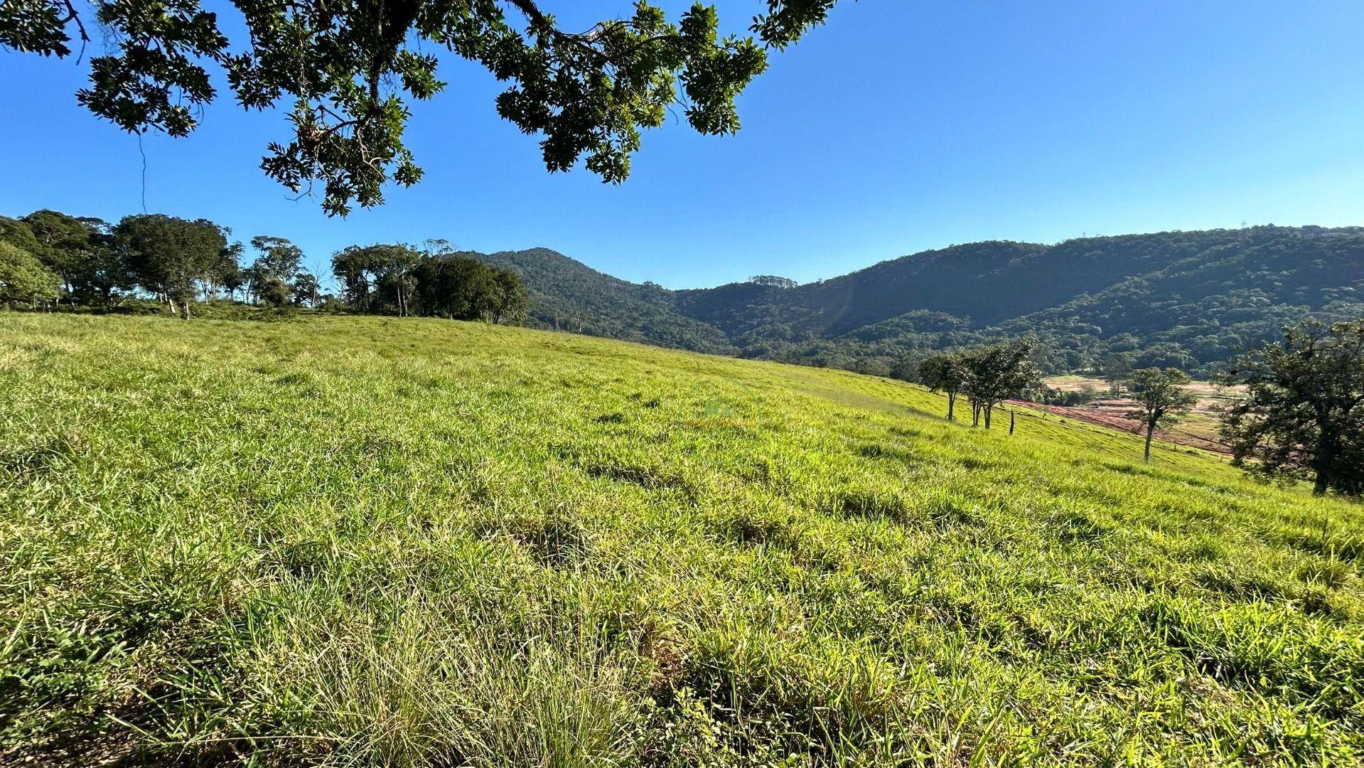 Terreno, 27 hectares - Foto 21