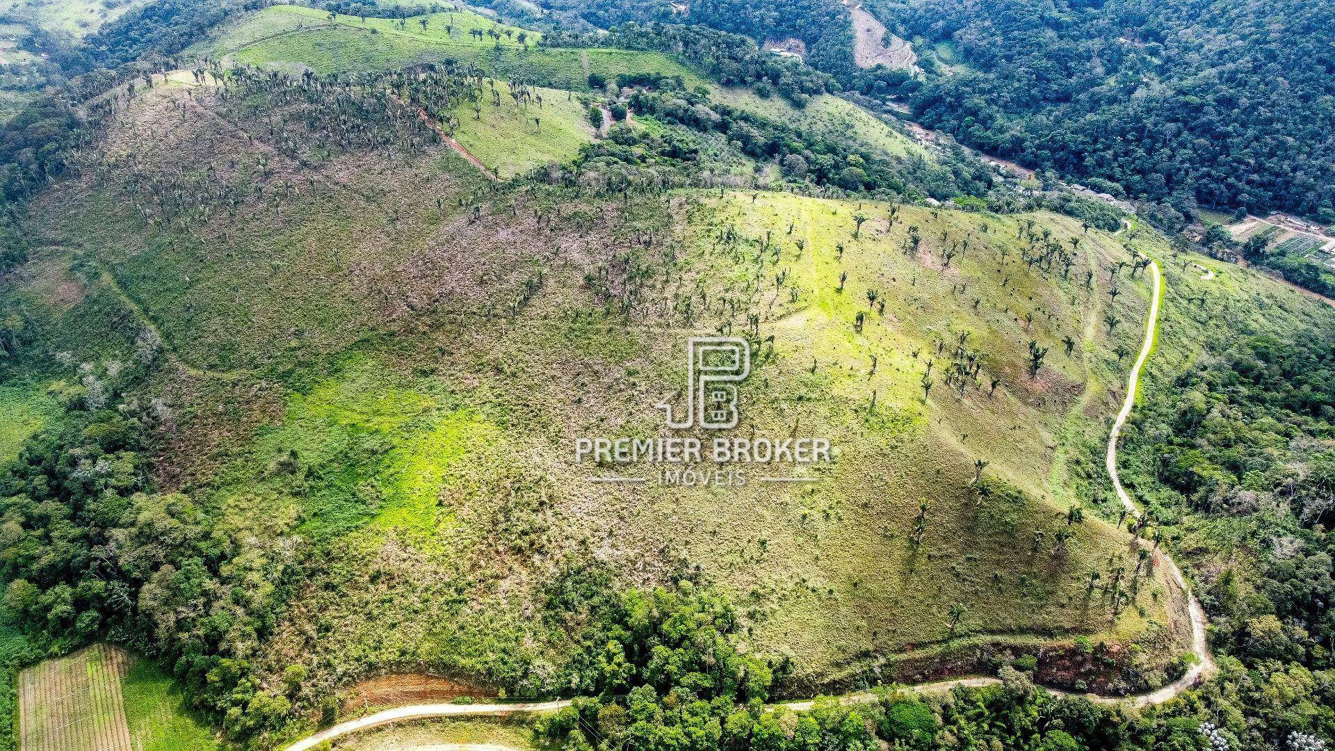 Fazenda à venda com 39 quartos, 1000m² - Foto 6