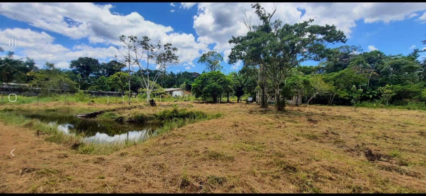 Fazenda à venda com 2 quartos, 3500m² - Foto 1