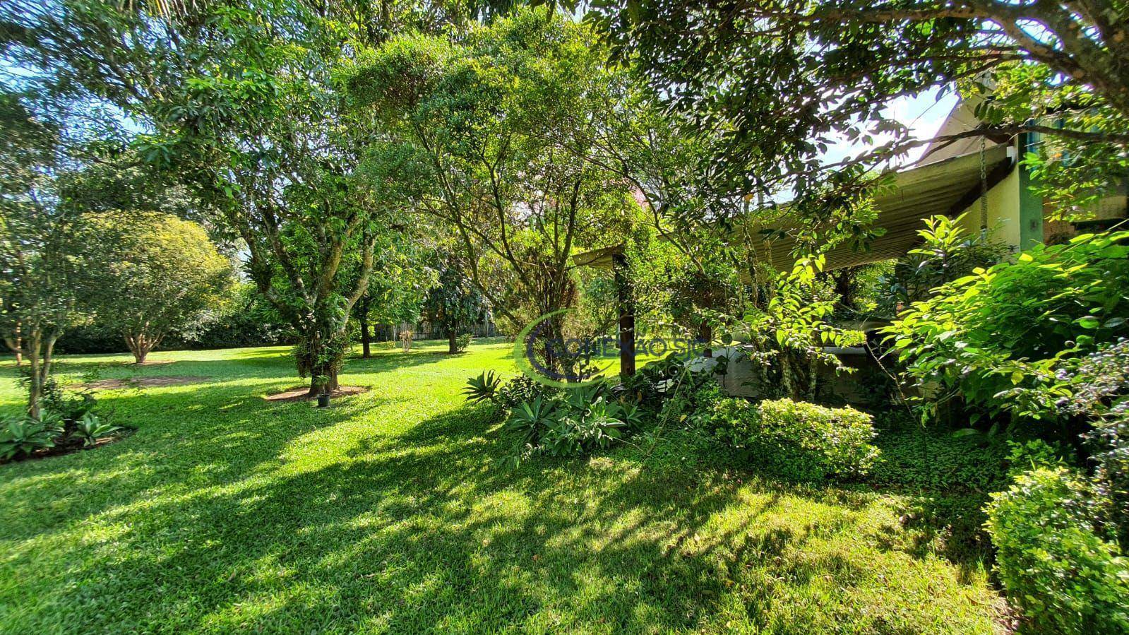 Sítio, 3 quartos, 2 hectares - Foto 21