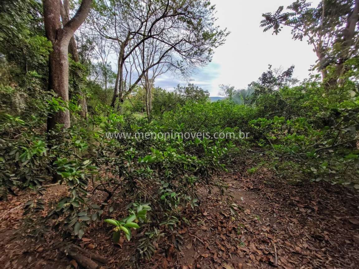 Chácara à venda com 3 quartos, 7500m² - Foto 11