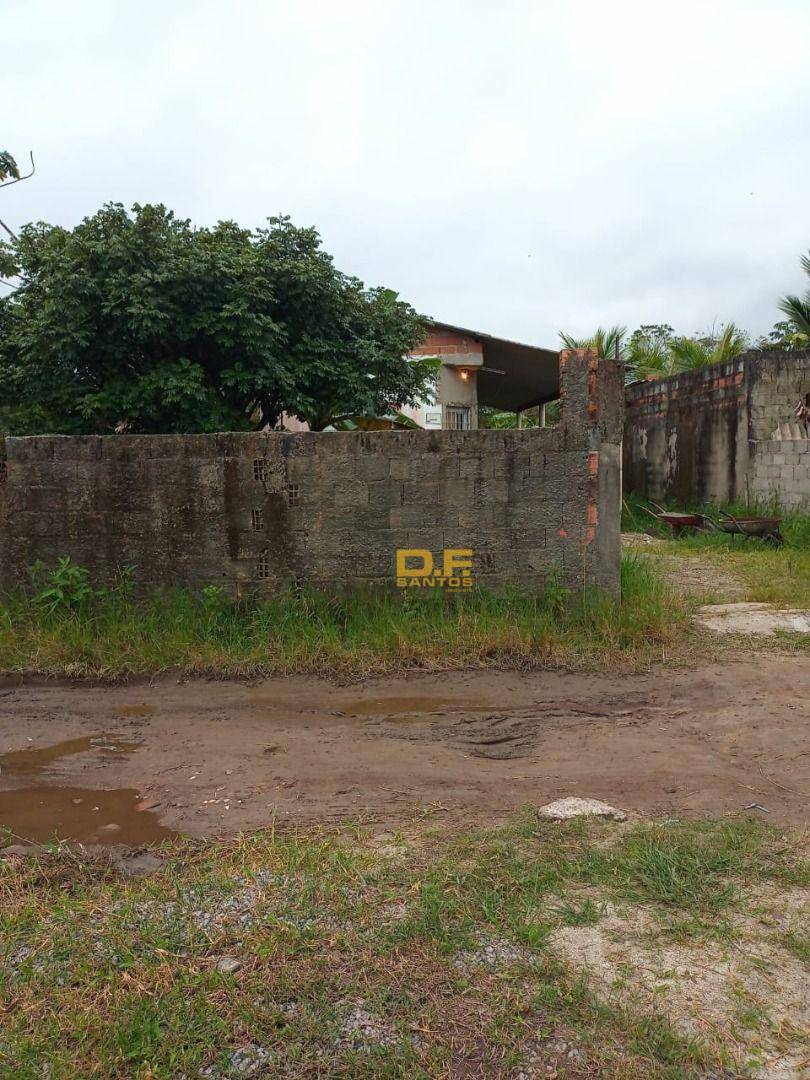 Chácara, 1 quarto, 500 m² - Foto 3