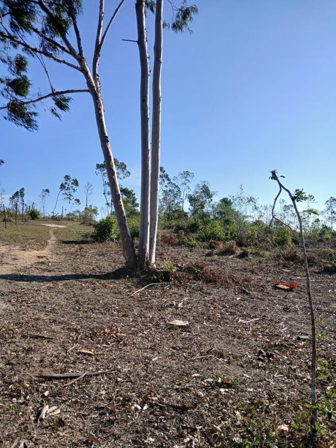 Fazenda à venda com 1 quarto, 96000m² - Foto 13