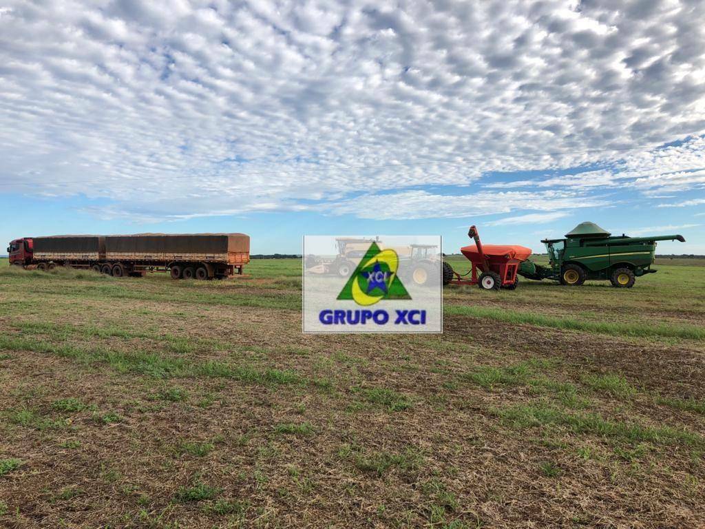 Fazenda-Sítio-Chácara, 1152 hectares - Foto 10