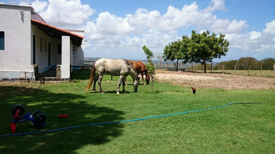 Fazenda à venda com 3 quartos, 13m² - Foto 11