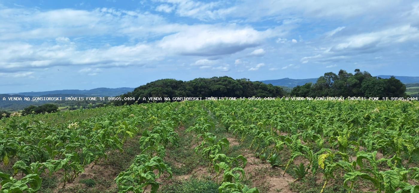 Loteamento e Condomínio à venda, 125000m² - Foto 24