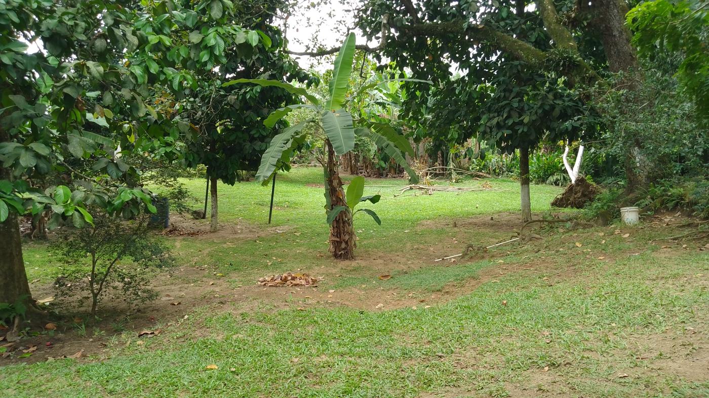 Sítio à venda, 10000m² - Foto 26