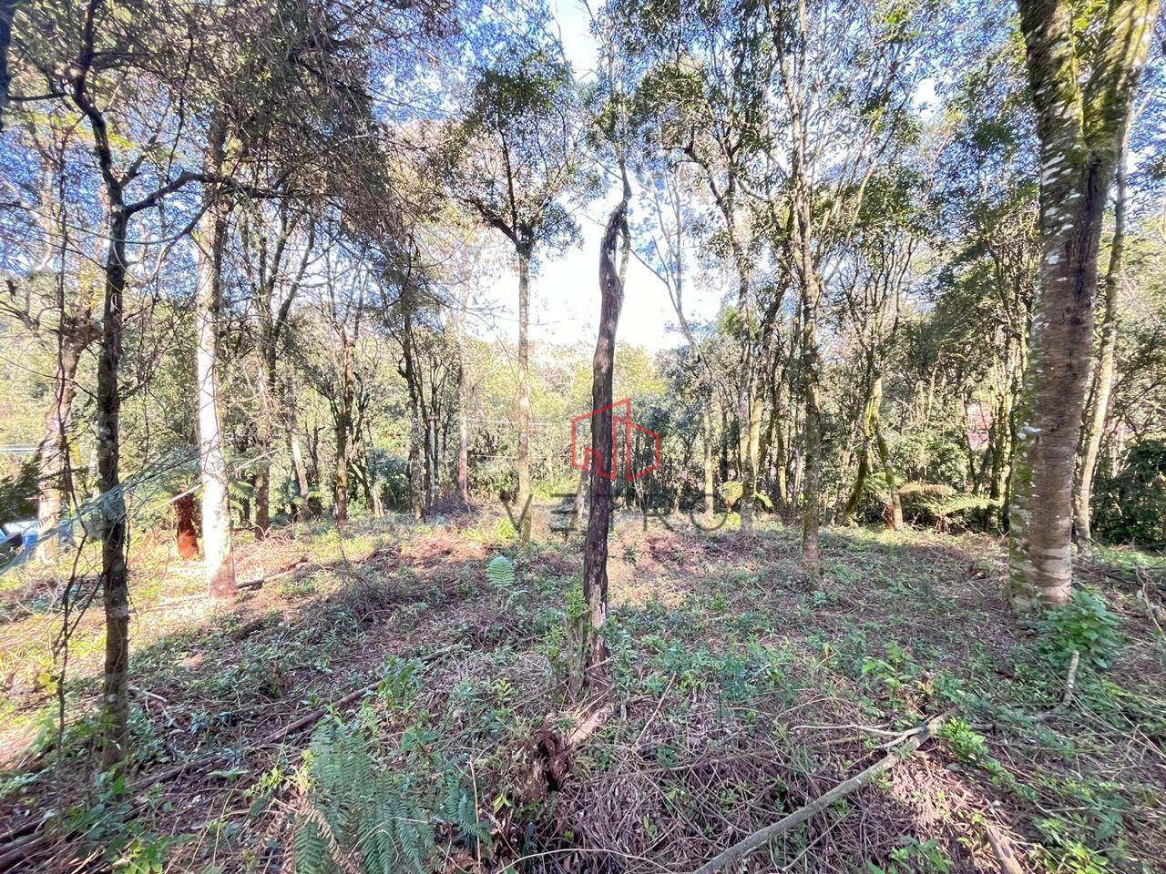 Terreno, 613 m² - Foto 1