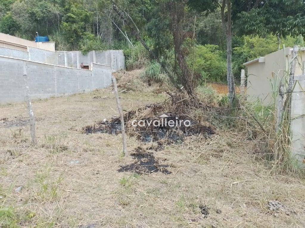 Terreno à venda, 360M2 - Foto 7