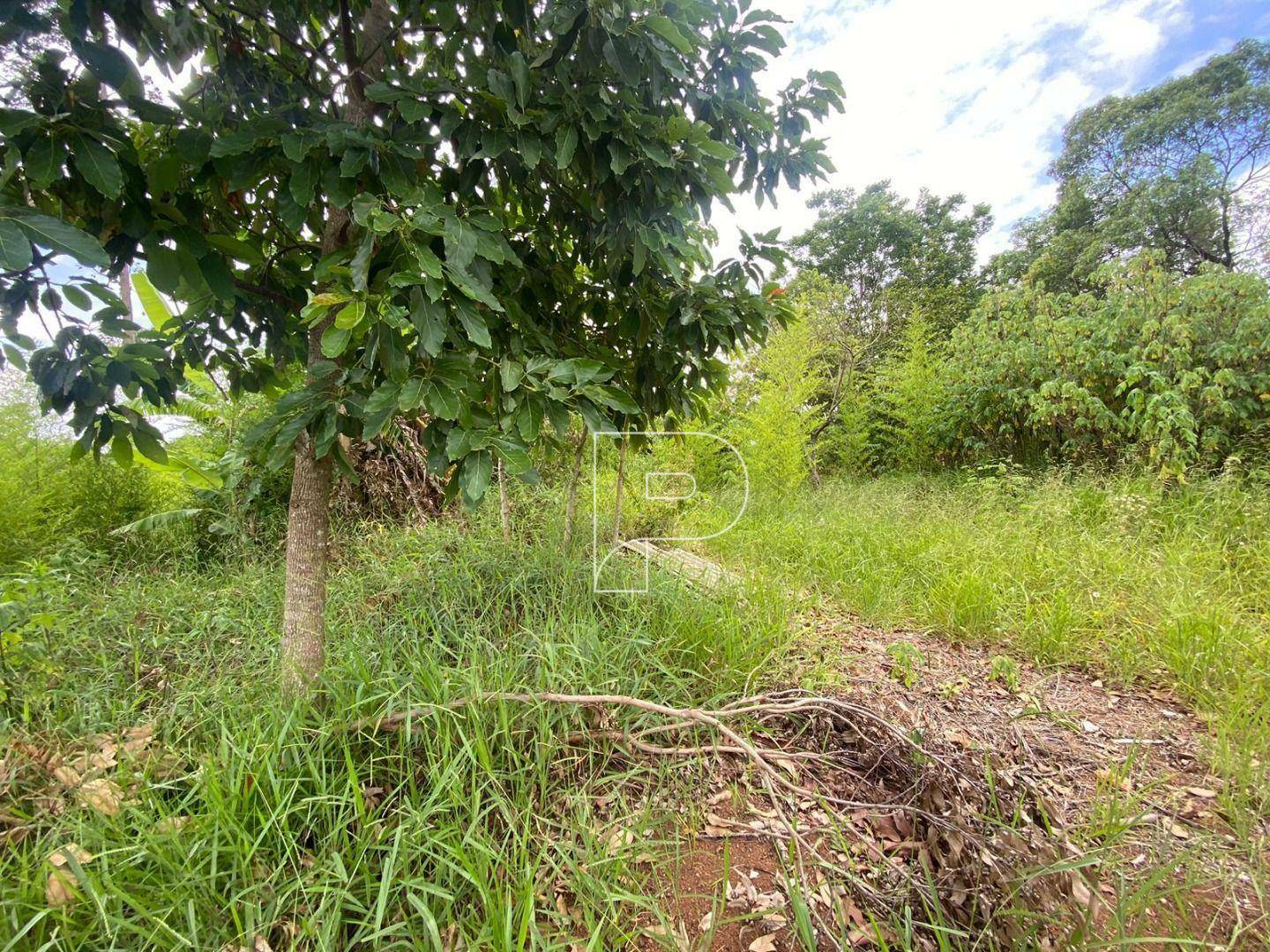 Terreno à venda, 1250M2 - Foto 4