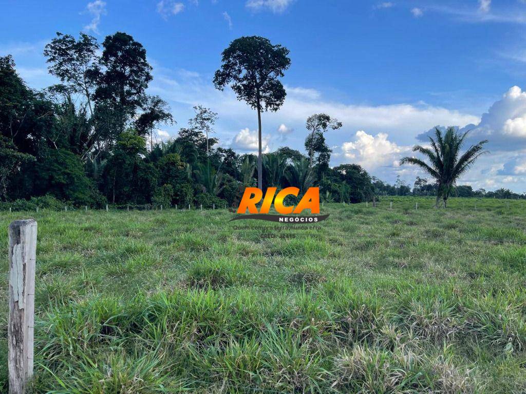 Sítio, 40 hectares - Foto 24