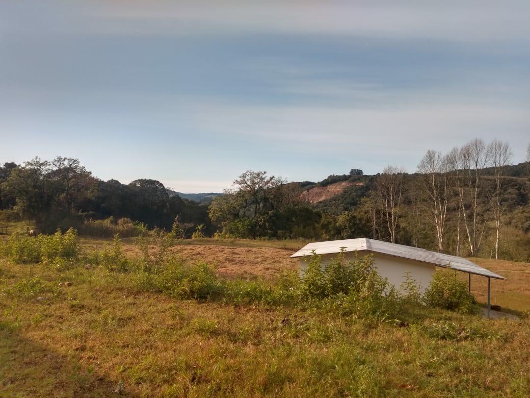 Sítio à venda com 1 quarto, 6000m² - Foto 19