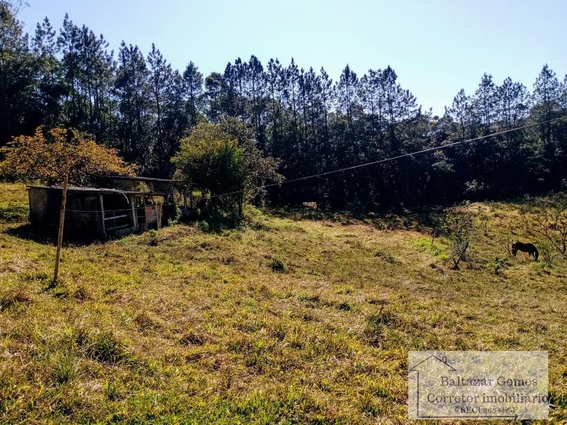 Fazenda à venda com 2 quartos, 72000m² - Foto 3