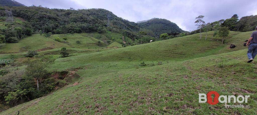 Sítio à venda com 4 quartos, 600m² - Foto 59