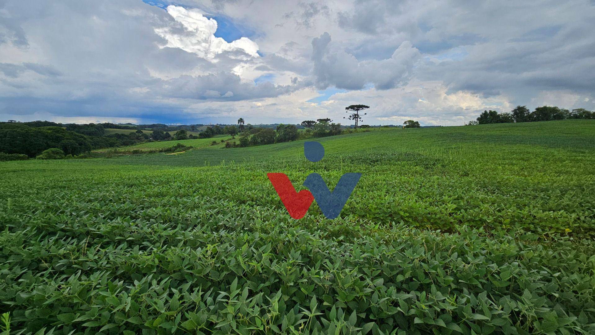 Chácara à venda, 330330M2 - Foto 14