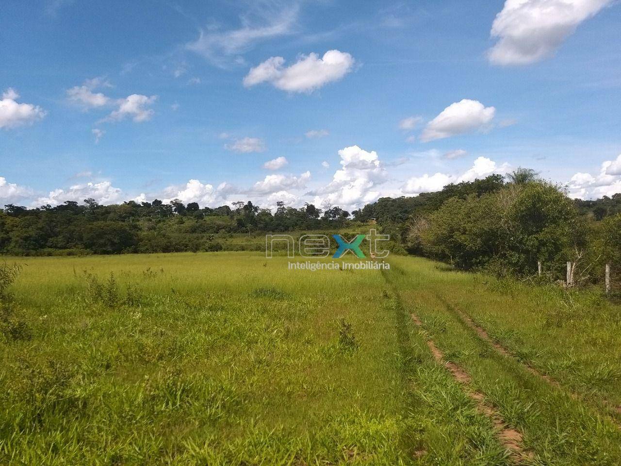Fazenda à venda com 4 quartos, 430000M2 - Foto 31