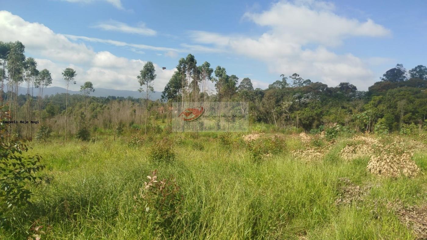 Terreno à venda, 5000m² - Foto 12