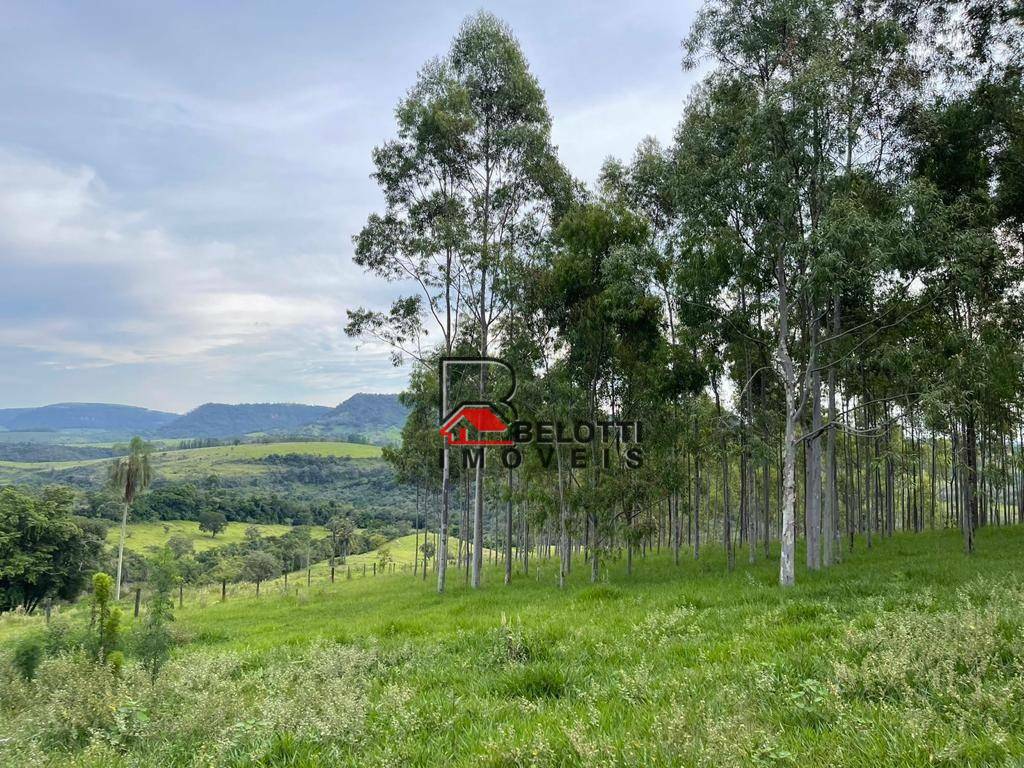 Fazenda à venda, 1597200M2 - Foto 3