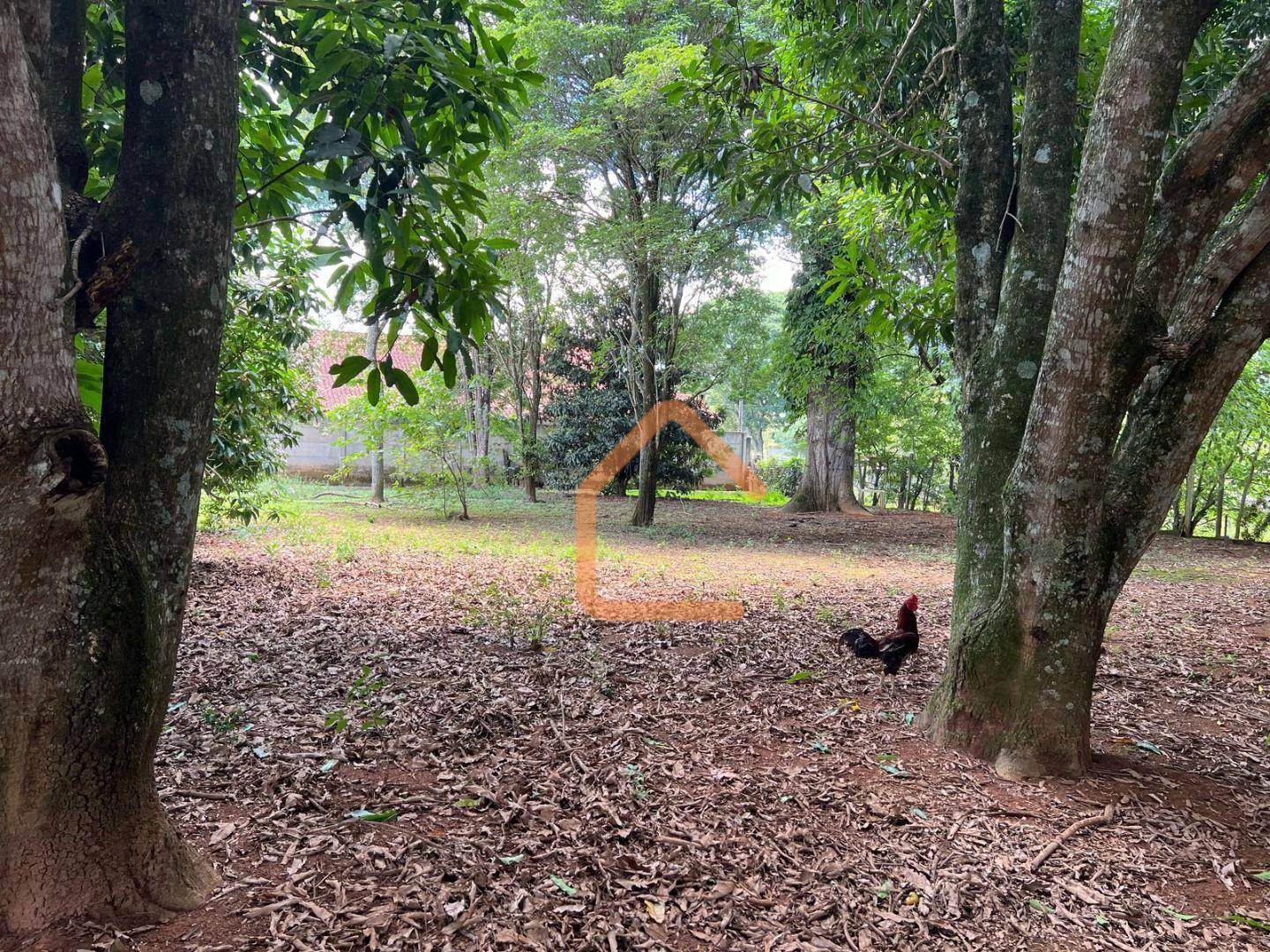 Terreno, 1350 m² - Foto 3