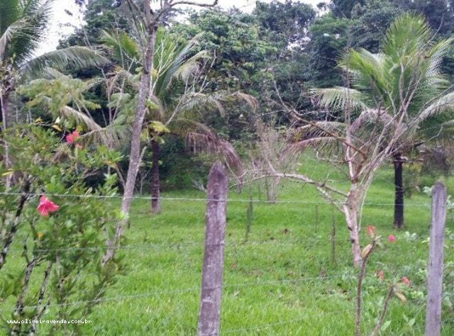 Fazenda à venda com 3 quartos, 6000m² - Foto 5