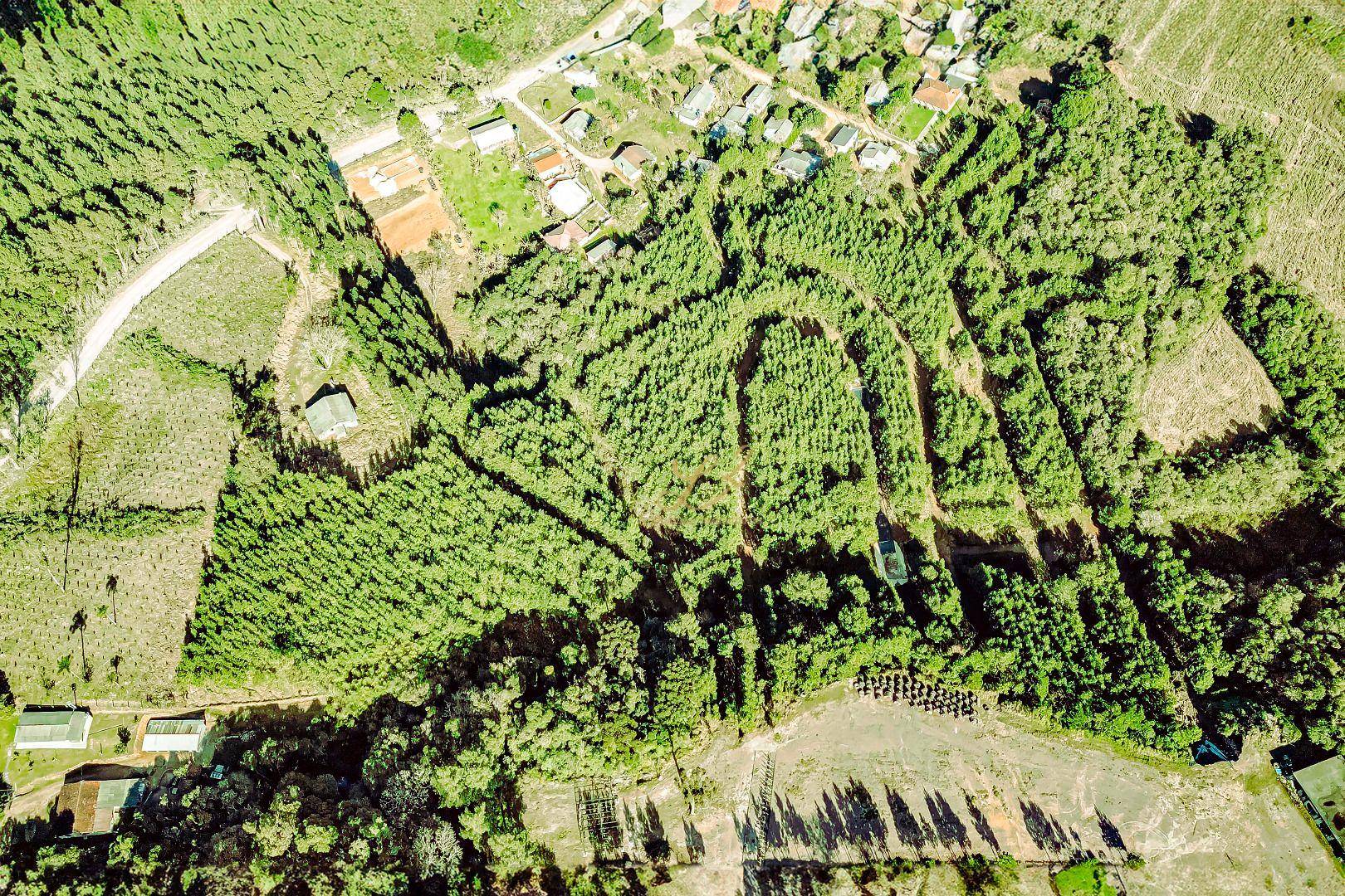 Terreno à venda, 63000M2 - Foto 5