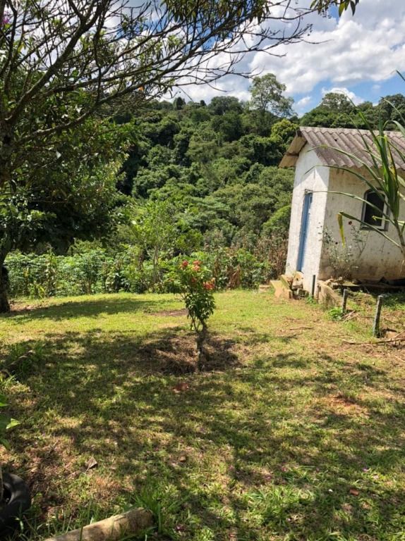 Chácara à venda com 7 quartos, 10000m² - Foto 5