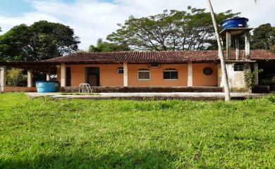 Fazenda à venda com 3 quartos, 110000m² - Foto 8