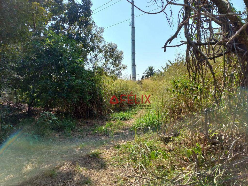 Terreno à venda, 6000M2 - Foto 4