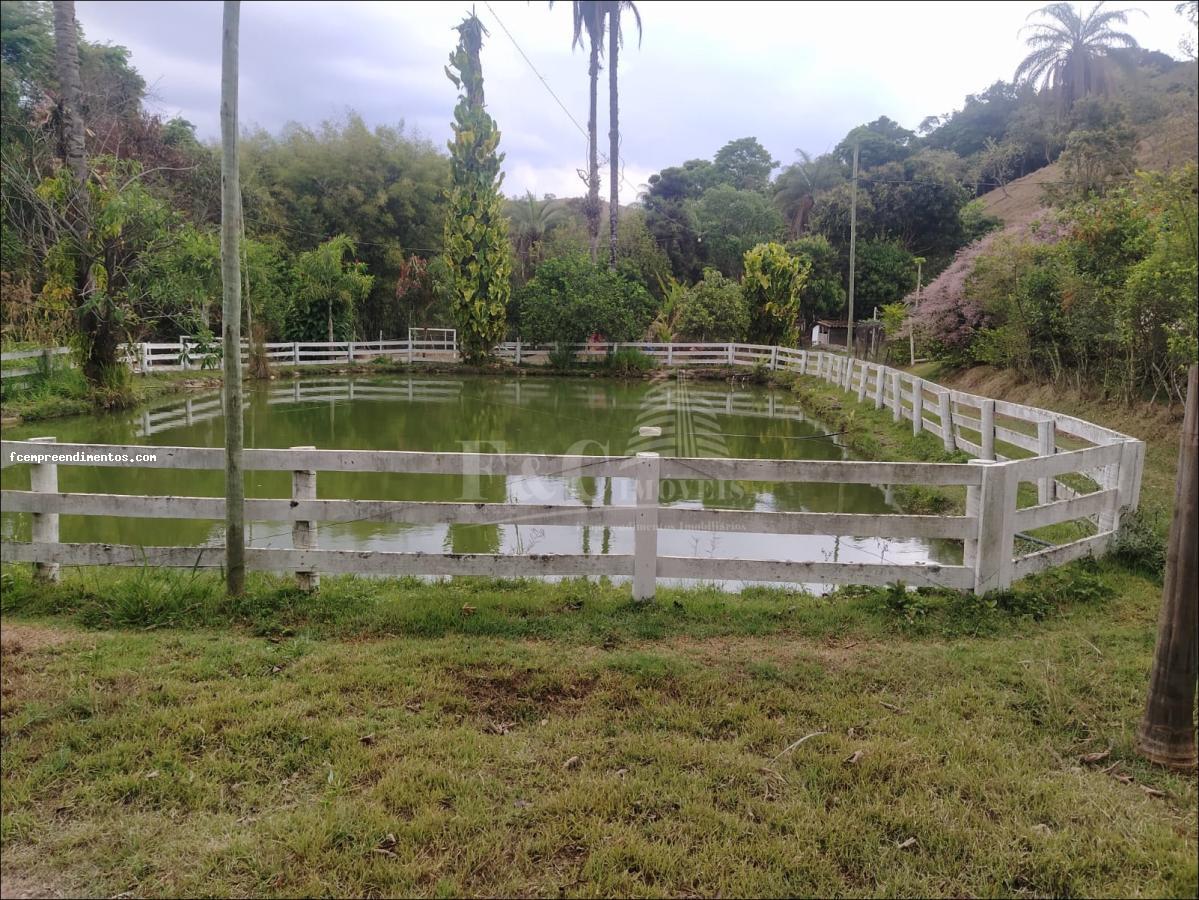 Fazenda à venda com 6 quartos, 53000m² - Foto 3