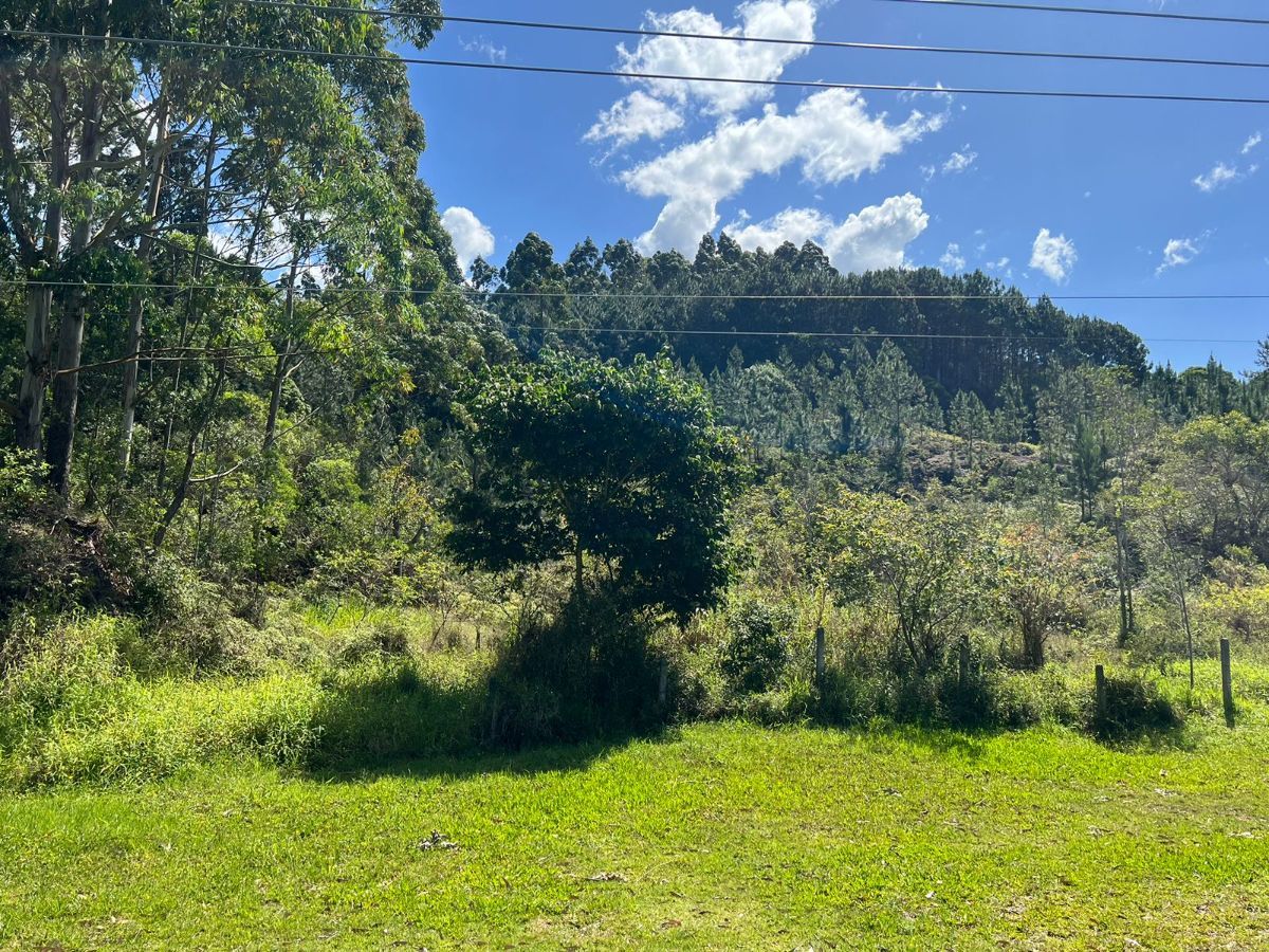 Terreno à venda, 6010 - Foto 26