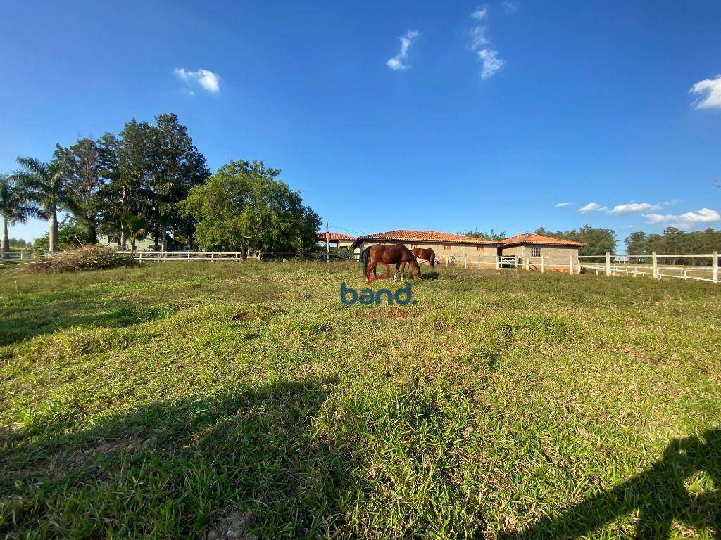 Haras e Área Rural Padrão à venda com 5 quartos, 108900M2 - Foto 48