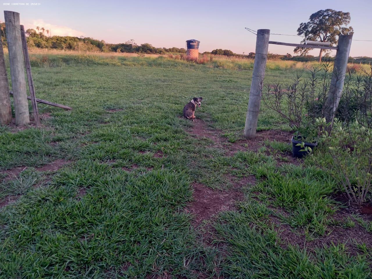 Fazenda à venda, 107000m² - Foto 12