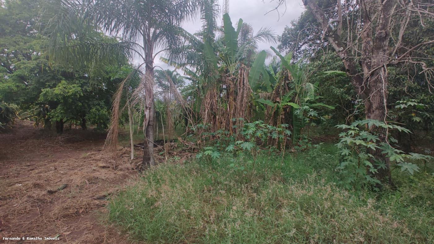 Fazenda para alugar com 2 quartos, 5000m² - Foto 28