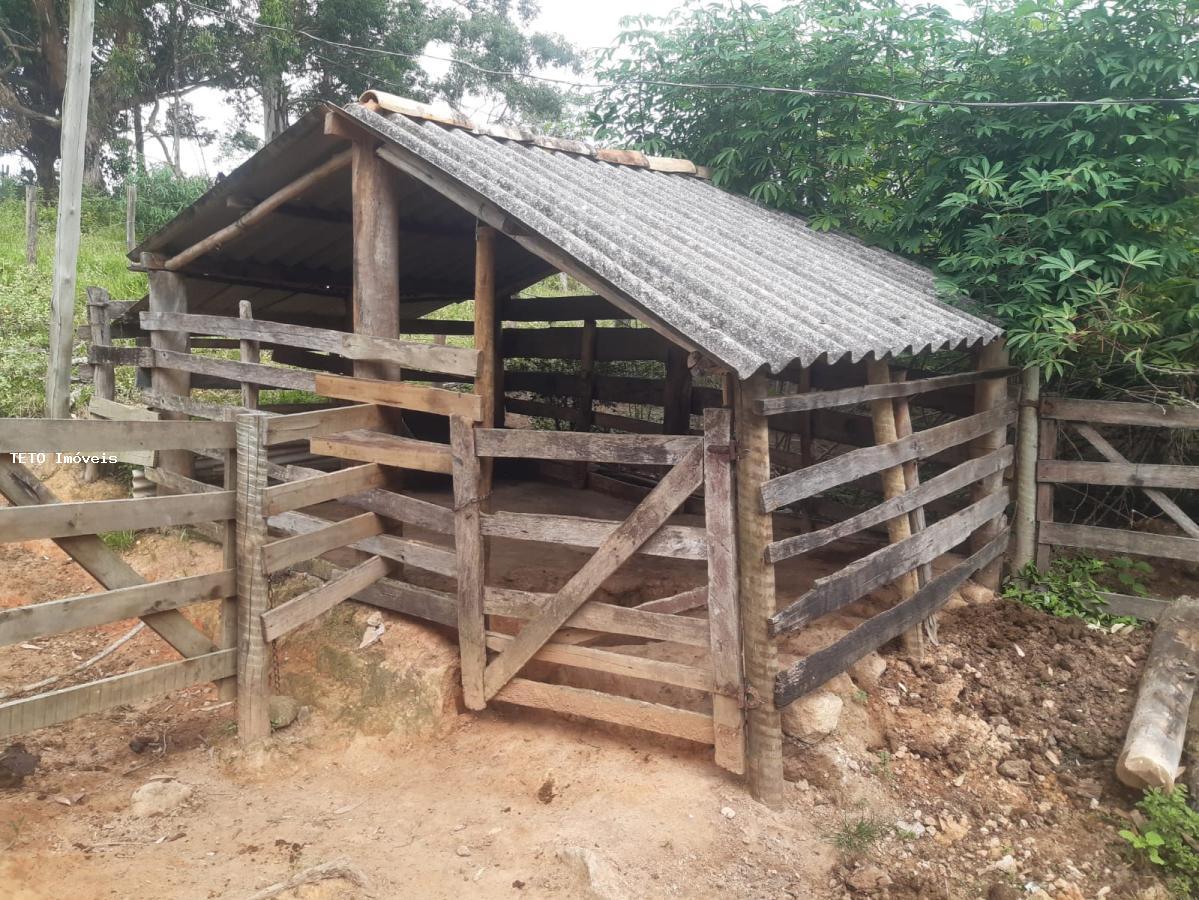 Fazenda à venda com 4 quartos, 36m² - Foto 34