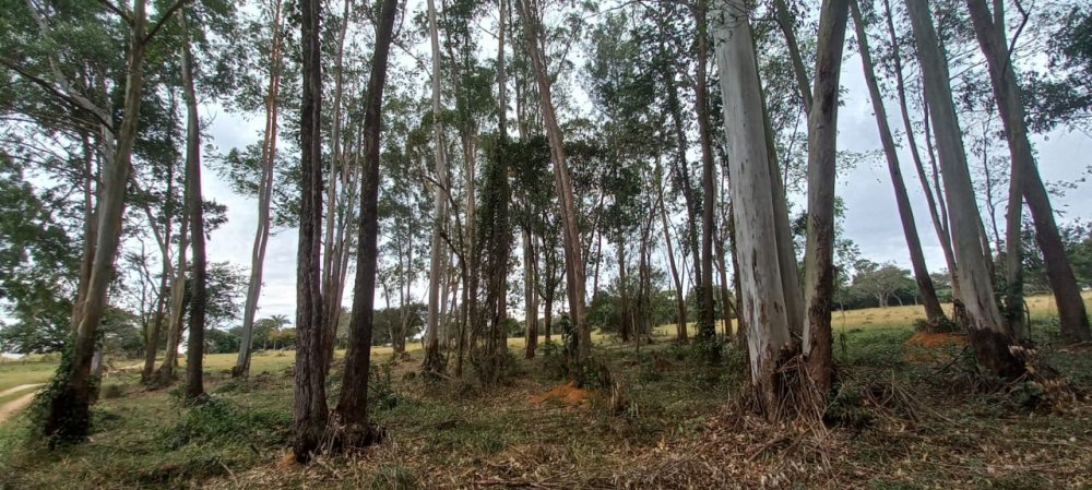 Fazenda à venda, 68m² - Foto 5