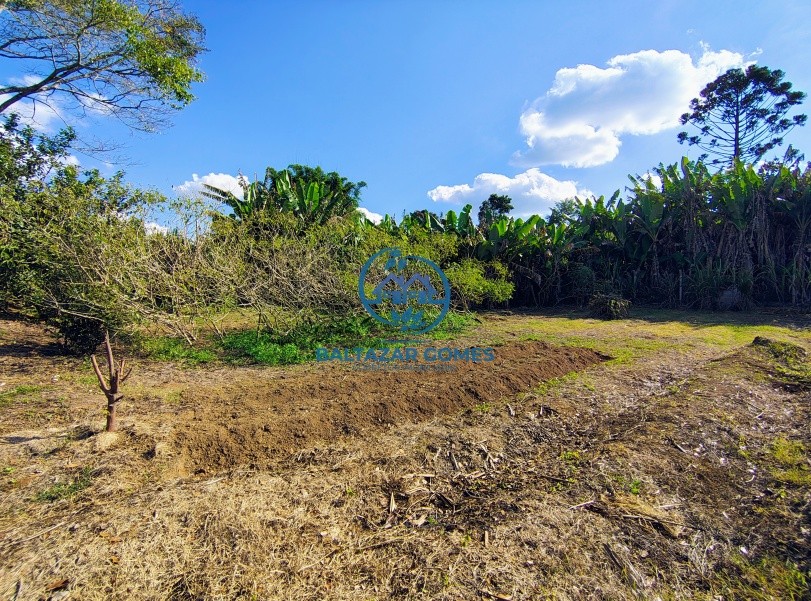Chácara à venda com 7 quartos, 5000m² - Foto 27