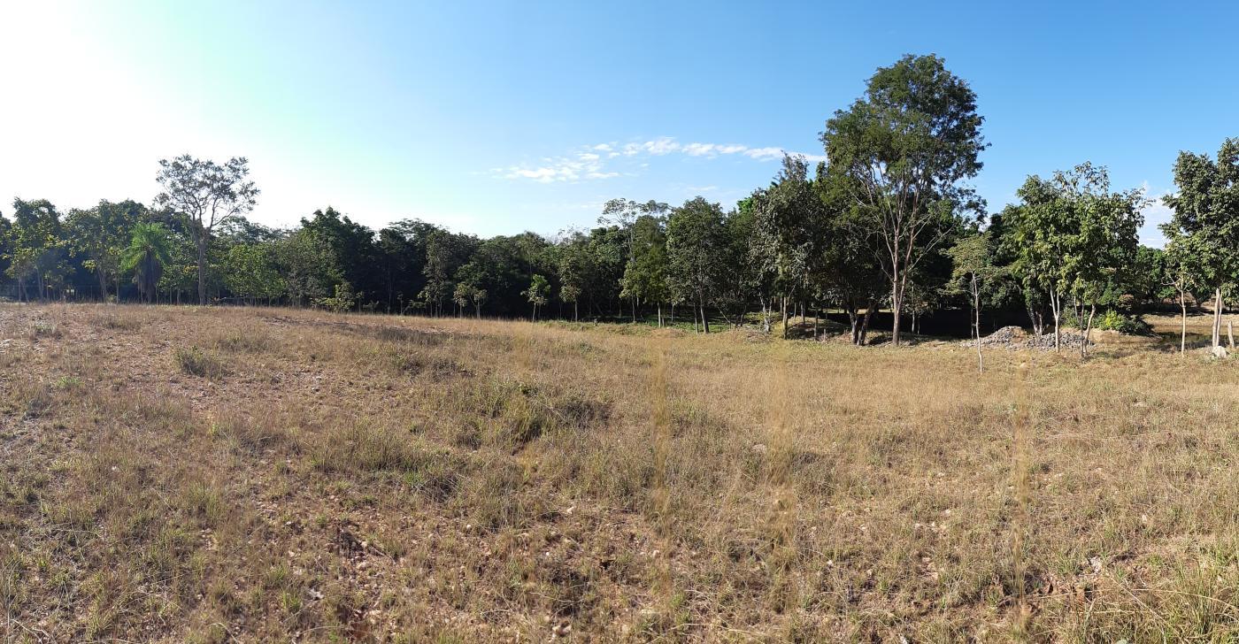 Chácara à venda com 3 quartos, 30000m² - Foto 34