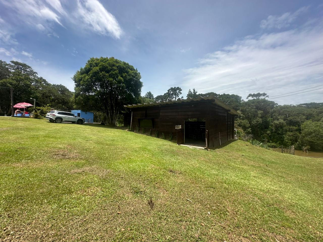 Fazenda à venda com 3 quartos, 8000m² - Foto 27