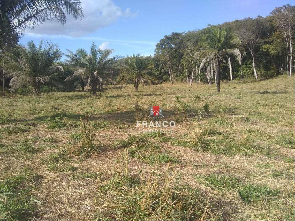 Fazenda à venda com 6 quartos, 350m² - Foto 14