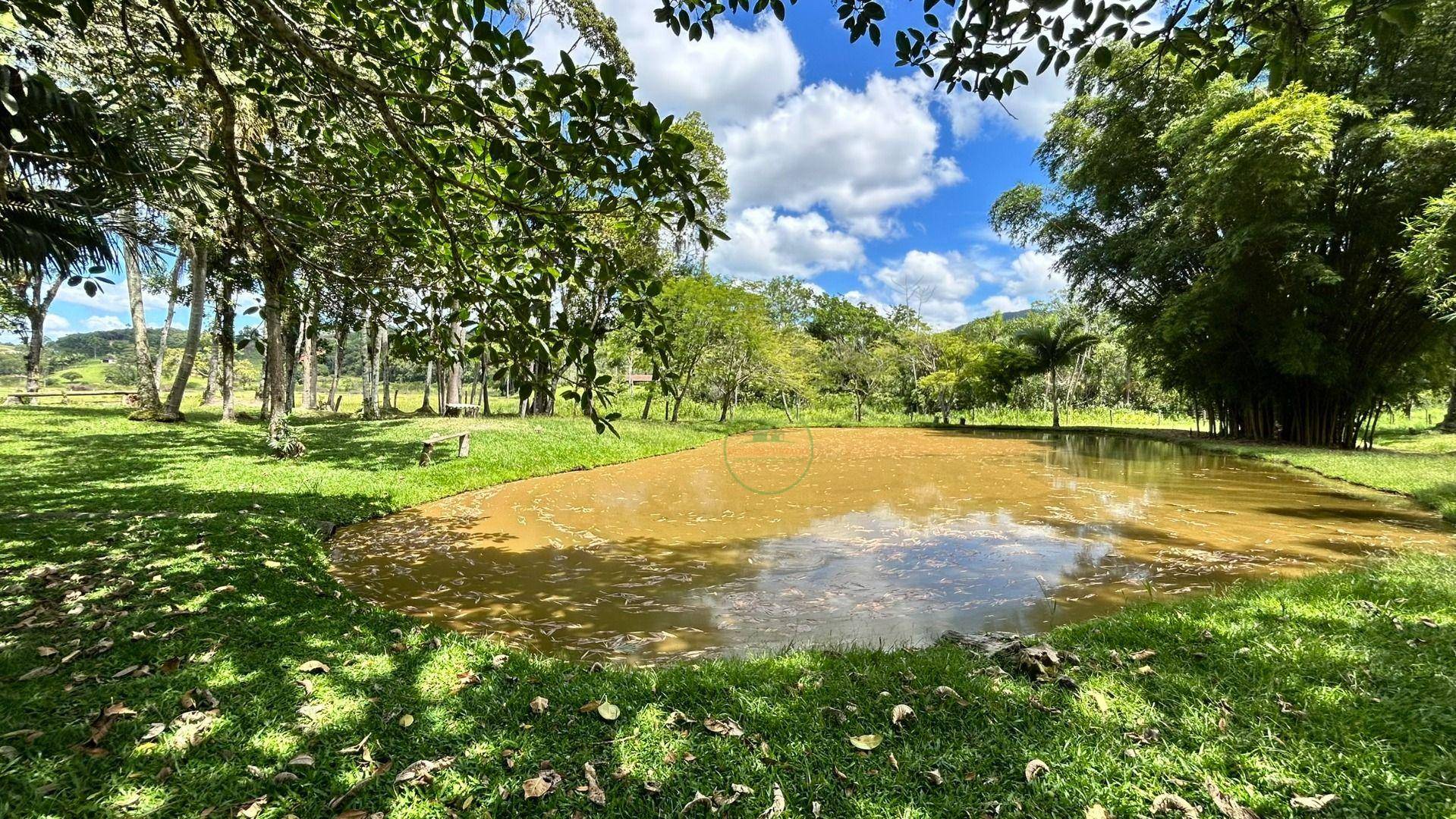 Chácara, 2 hectares - Foto 17