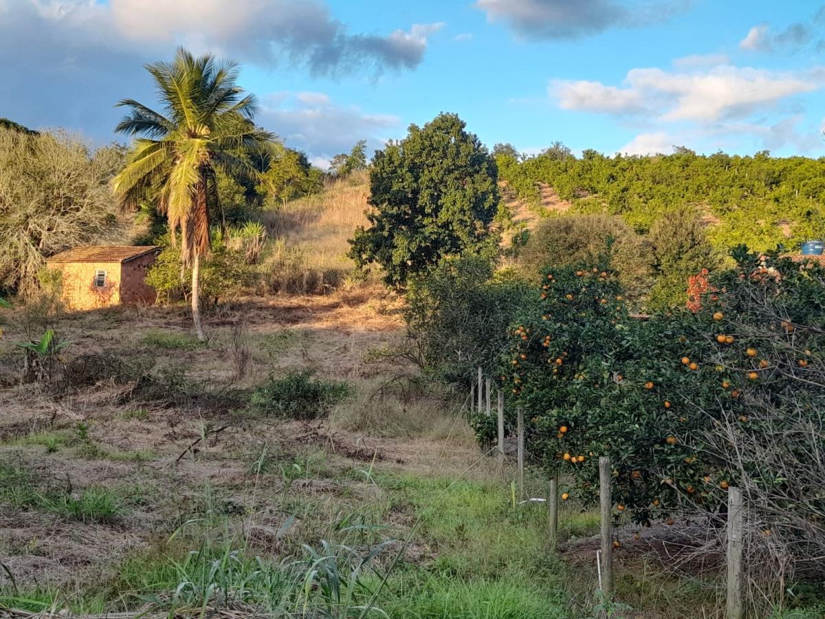 Terreno à venda, 5000m² - Foto 4