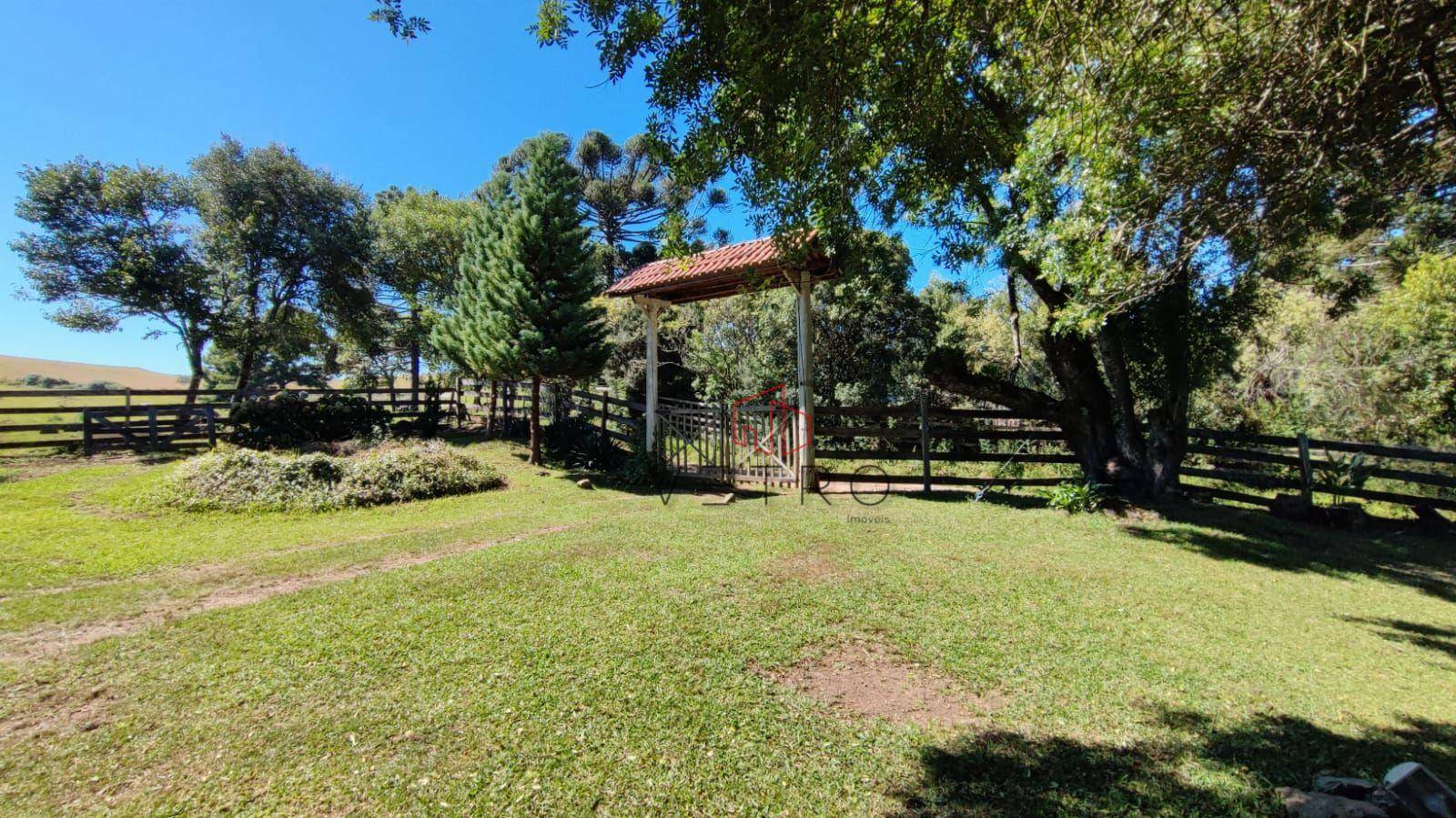 Sítio à venda com 3 quartos, 37000M2 - Foto 14