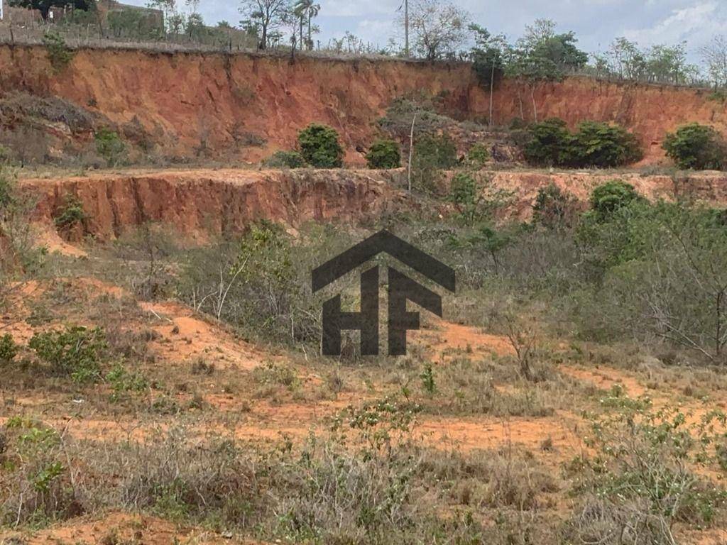 Chácara à venda com 3 quartos, 60000M2 - Foto 20