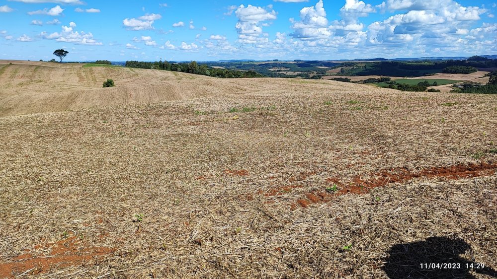 Fazenda à venda, 9m² - Foto 16