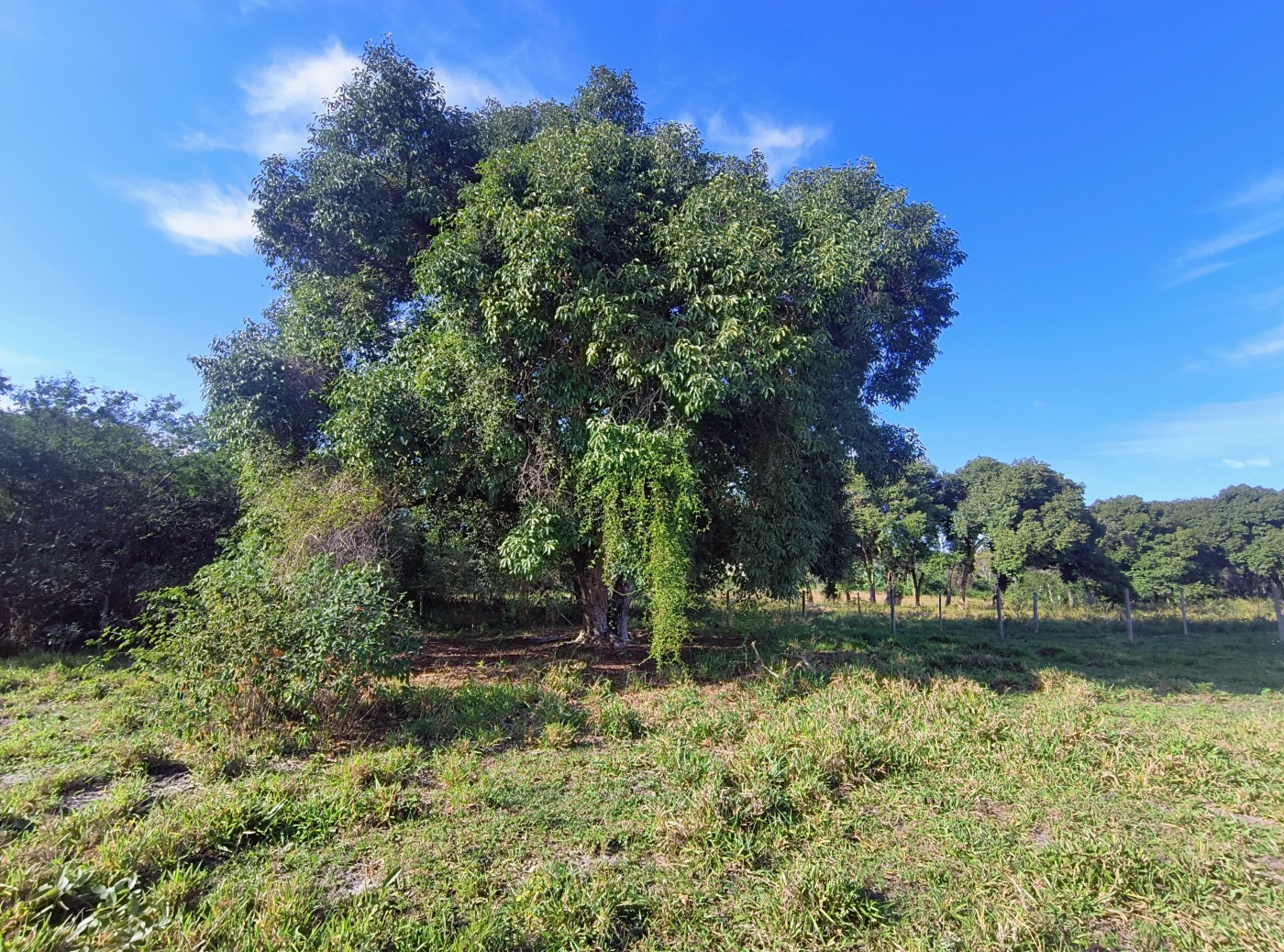 Terreno à venda, 2350m² - Foto 11