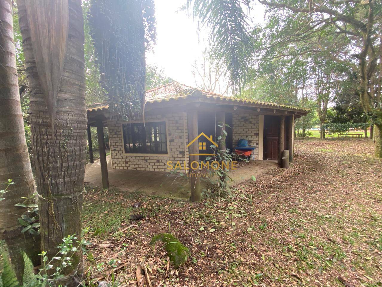 Sítio, 5 quartos, 2367 m² - Foto 4