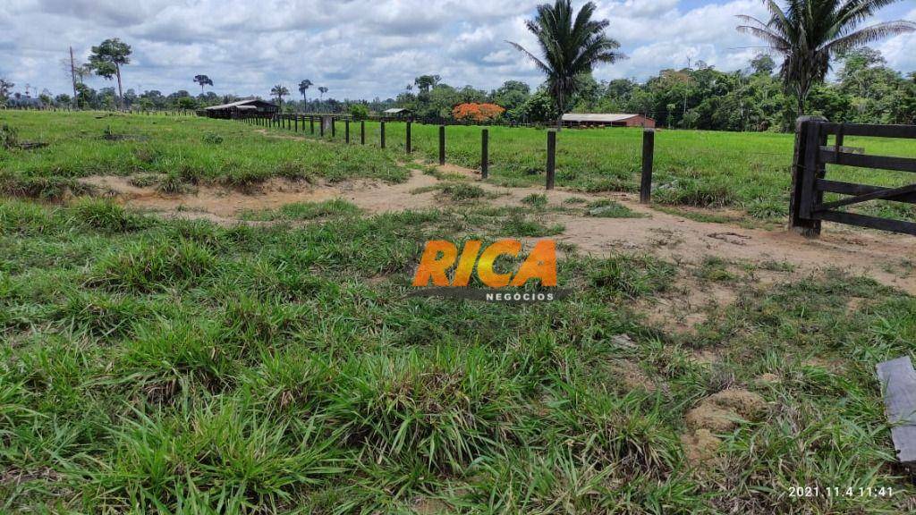 Fazenda à venda com 4 quartos, 1400000M2 - Foto 15