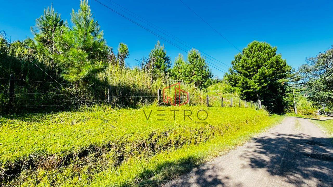 Sítio, 2 hectares - Foto 3