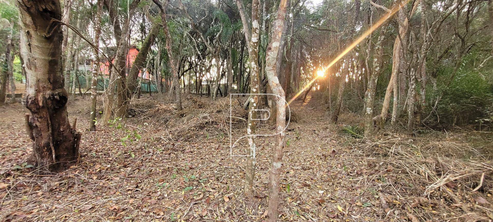 Loteamento e Condomínio à venda, 1500M2 - Foto 6